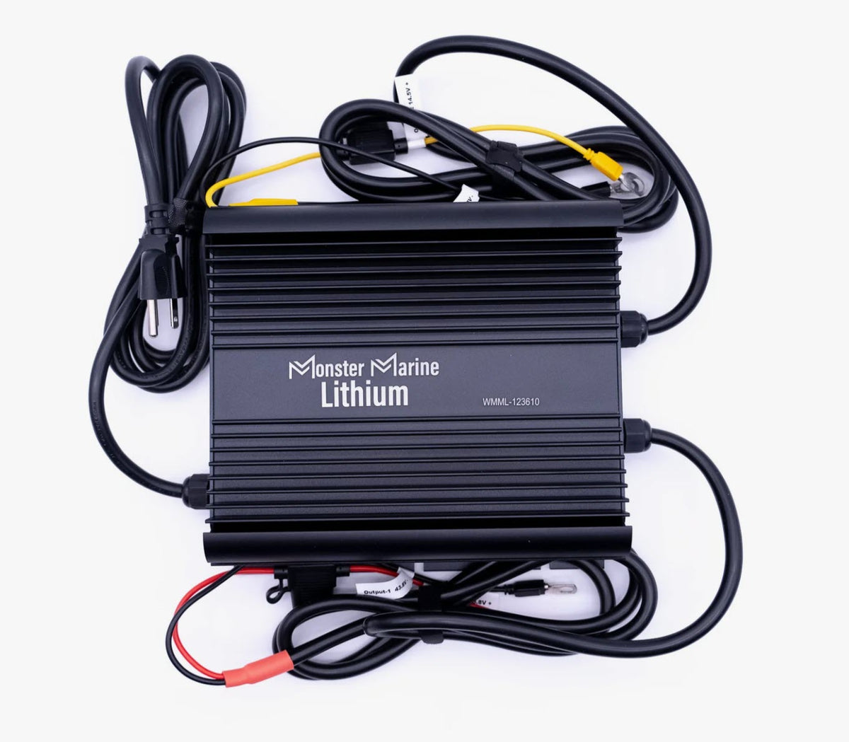 Dual Bank 12v / 36v Charger