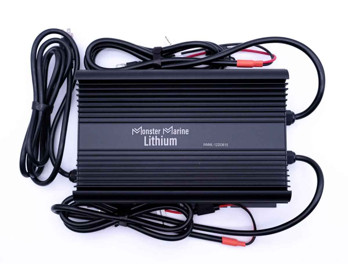 Dual Bank 12v/36v Fast Charger