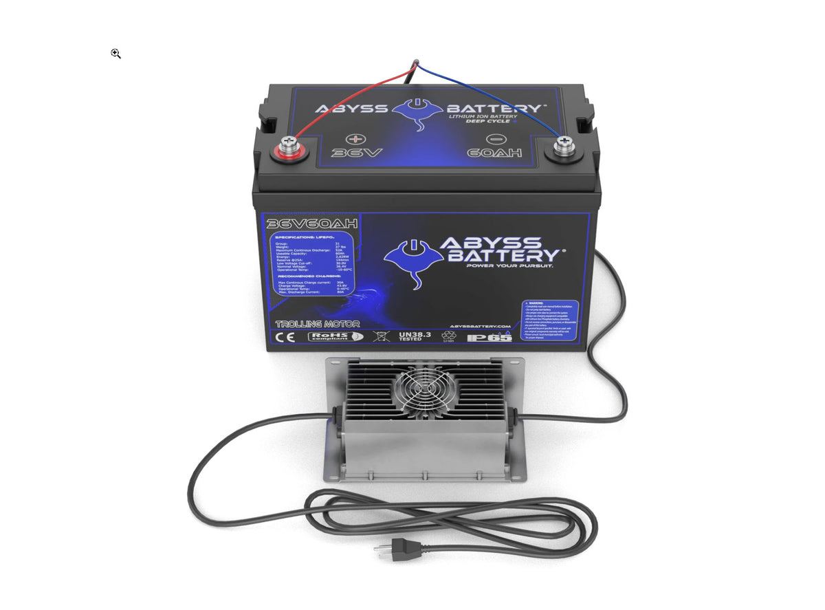 Abyss 36v 60Ah w/ Charger