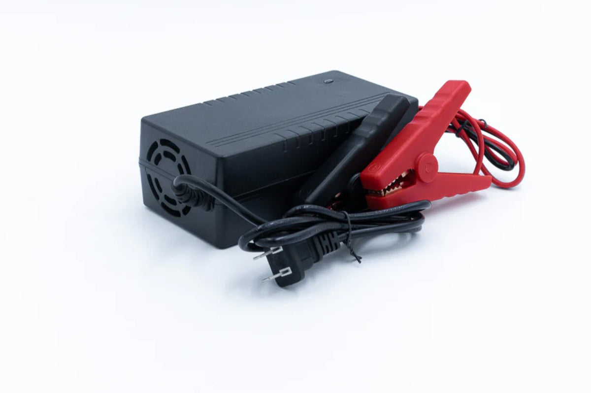 Basic 12v 10a Lithium Charger