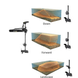 Mega Live Imaging