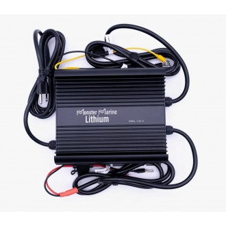Dual Bank 12v / 36v Charger Dual Bank 12v / 36v Charger