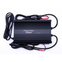 Dual Bank 12v/36v Fast Charger