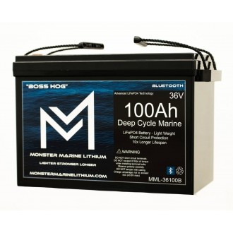 Monster Marine 36V 100Ah