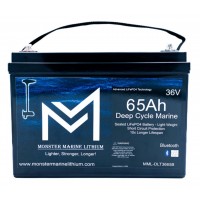 Monster Marine 36V 65Ah