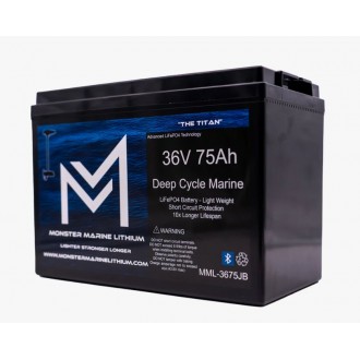 Monster Marine 36V 75Ah